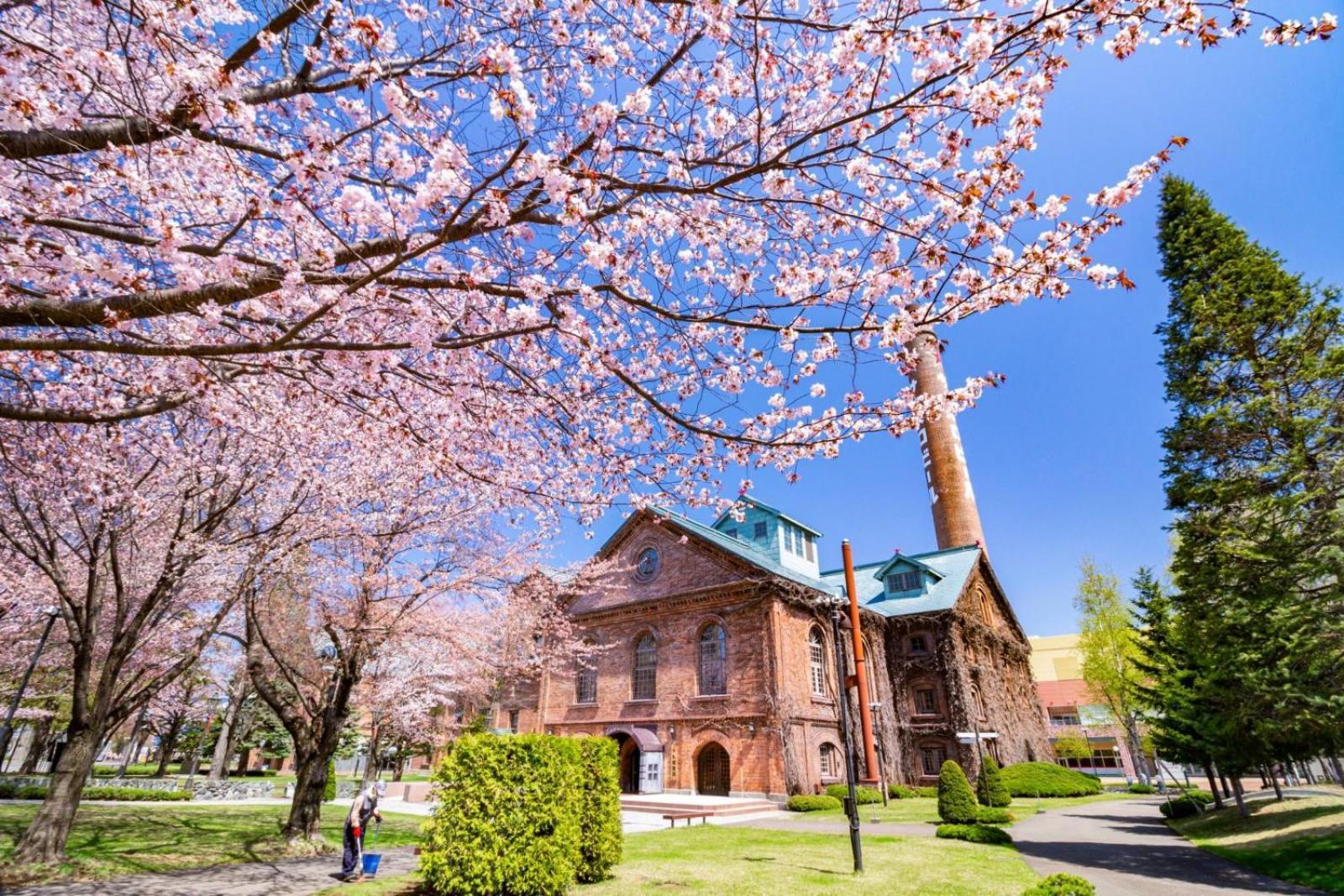 Hotel Sunroute Sapporo Luaran gambar